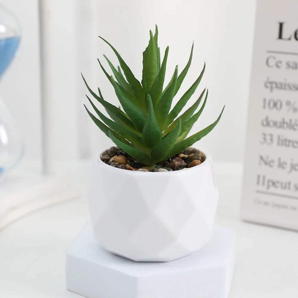 Plantas de bonsai suculentas artificiais simulação suculentas mini evergreen bonsai cacto suculenta plástico plantas falsas decoração