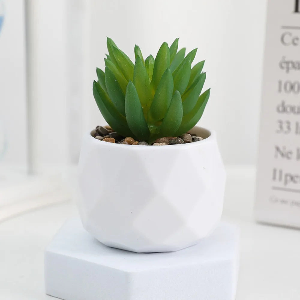 Plantas de bonsai suculentas artificiais simulação suculentas mini evergreen bonsai cacto suculenta plástico plantas falsas decoração