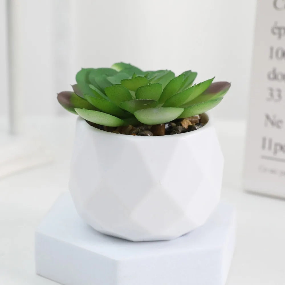 Plantas de bonsai suculentas artificiais simulação suculentas mini evergreen bonsai cacto suculenta plástico plantas falsas decoração