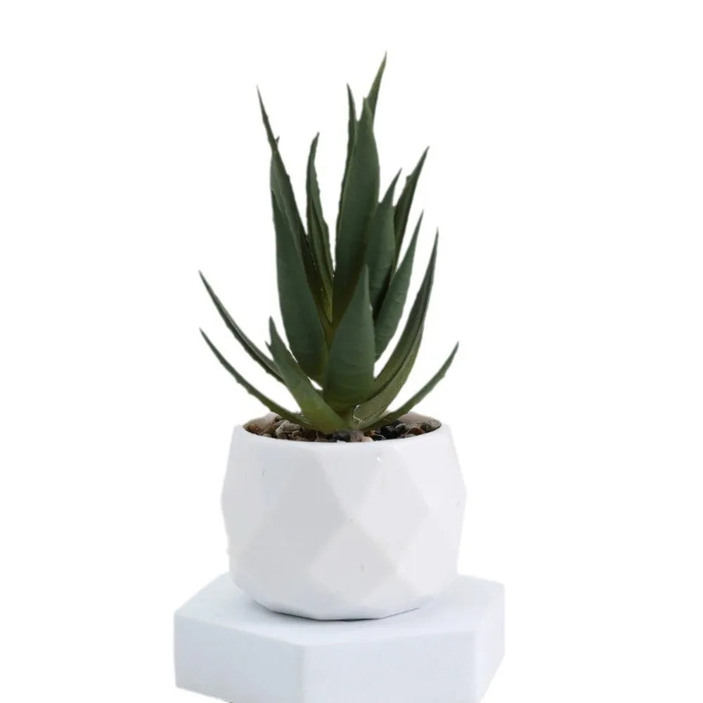 Plantas de bonsai suculentas artificiais simulação suculentas mini evergreen bonsai cacto suculenta plástico plantas falsas decoração