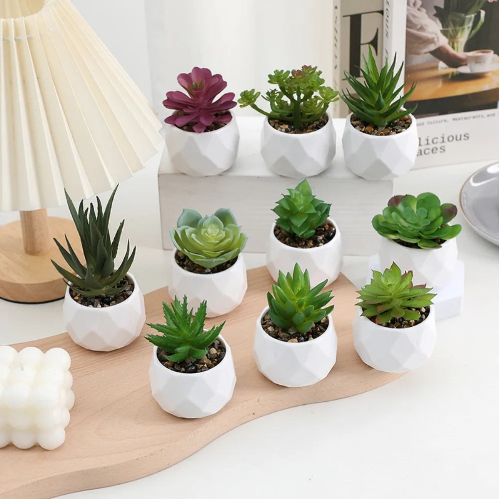 Plantas de bonsai suculentas artificiais simulação suculentas mini evergreen bonsai cacto suculenta plástico plantas falsas decoração