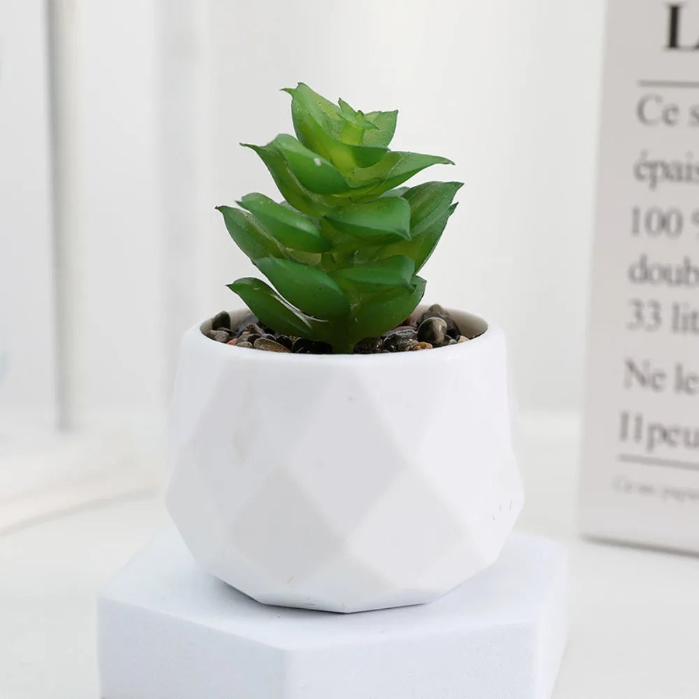 Plantas de bonsai suculentas artificiais simulação suculentas mini evergreen bonsai cacto suculenta plástico plantas falsas decoração