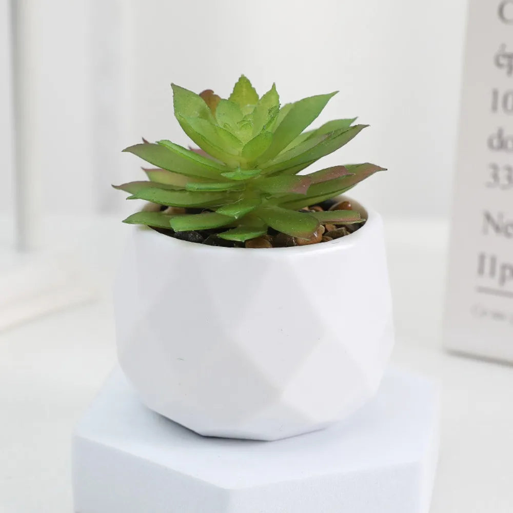 Plantas de bonsai suculentas artificiais simulação suculentas mini evergreen bonsai cacto suculenta plástico plantas falsas decoração