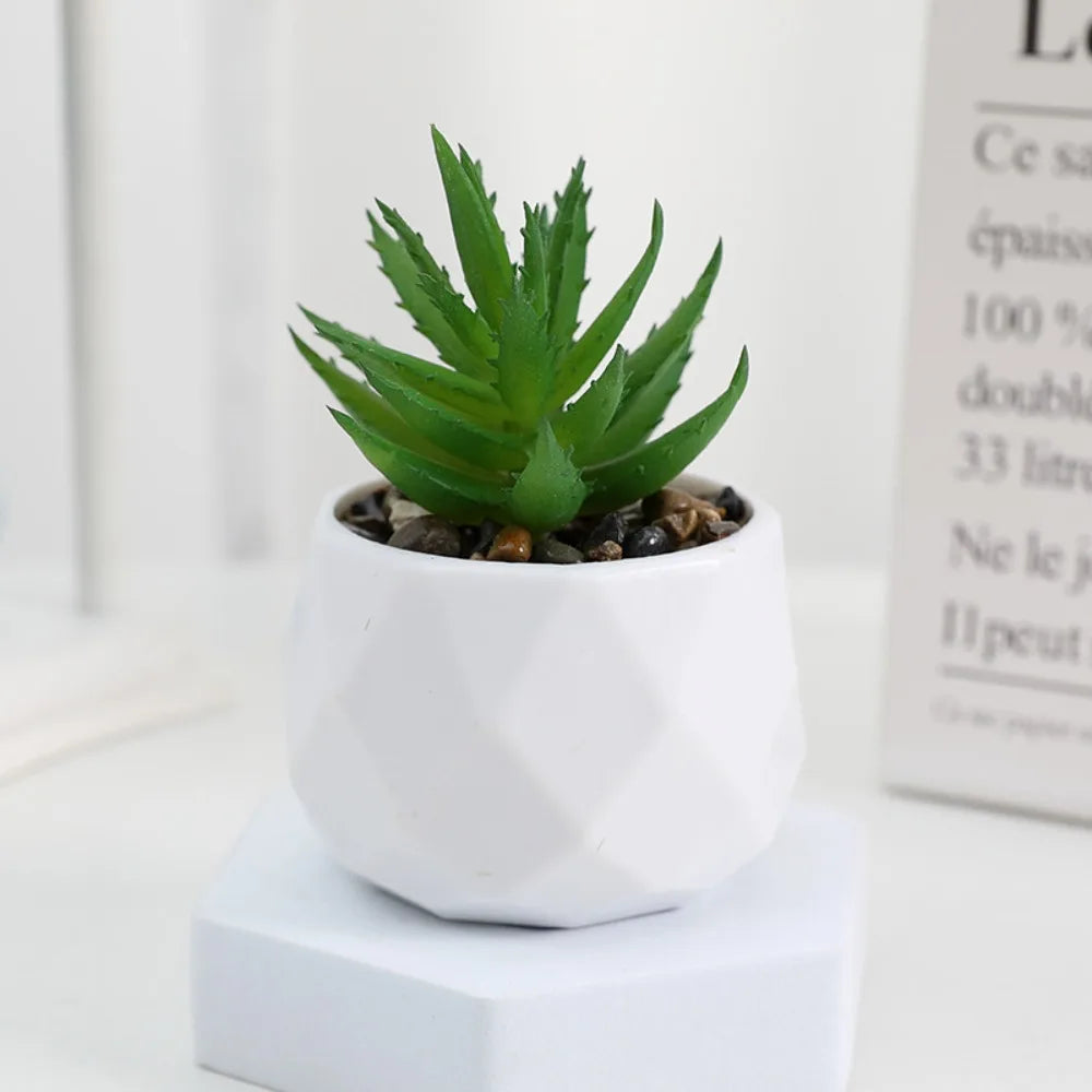 Plantas de bonsai suculentas artificiais simulação suculentas mini evergreen bonsai cacto suculenta plástico plantas falsas decoração