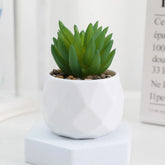 Plantas de bonsai suculentas artificiais simulação suculentas mini evergreen bonsai cacto suculenta plástico plantas falsas decoração