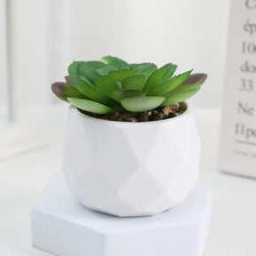 Plantas de bonsai suculentas artificiais simulação suculentas mini evergreen bonsai cacto suculenta plástico plantas falsas decoração