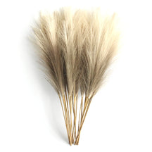 6 pçs artificial pampas grama decoração flores planta falsa reed para diy mesa floral organizar flor casamento casa decoração de natal