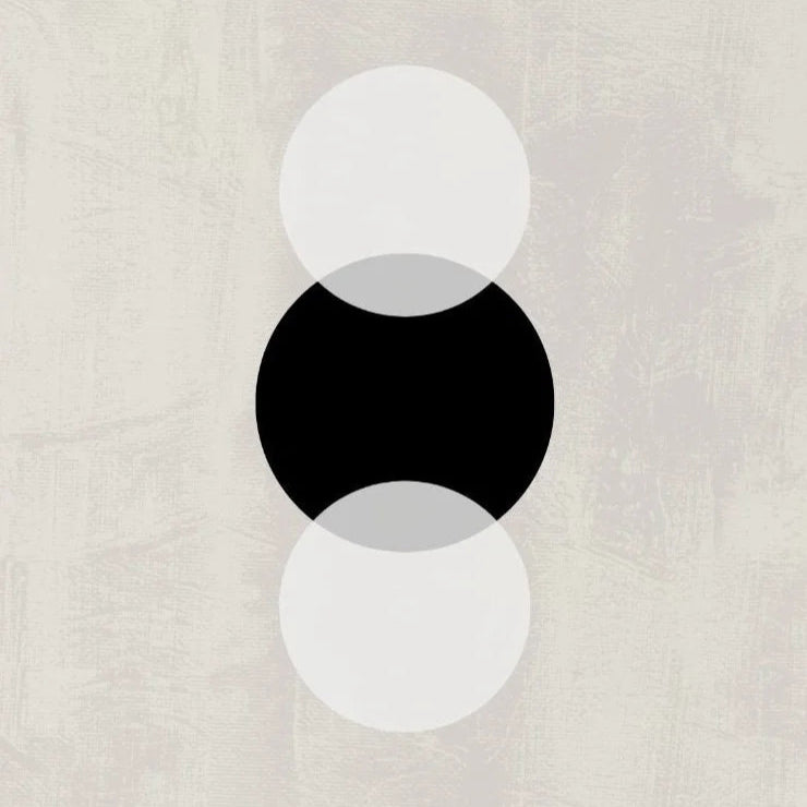 Minimalista abstrato preto e branco moderno japandi geométrico cartaz impressão pintura em tela galeria arte da parede para o quarto decoração casa