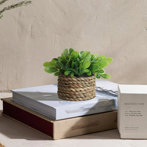 Xiya flor verde plantas artificiais eucalipto grama tecido pequenas vasos de plantas grama mound 11cm material pe decoração para casa