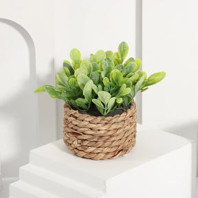 Xiya flor verde plantas artificiais eucalipto grama tecido pequenas vasos de plantas grama mound 11cm material pe decoração para casa