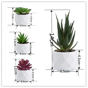 Plantas de bonsai suculentas artificiais simulação suculentas mini evergreen bonsai cacto suculenta plástico plantas falsas decoração