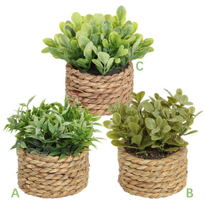 Xiya flor verde plantas artificiais eucalipto grama tecido pequenas vasos de plantas grama mound 11cm material pe decoração para casa
