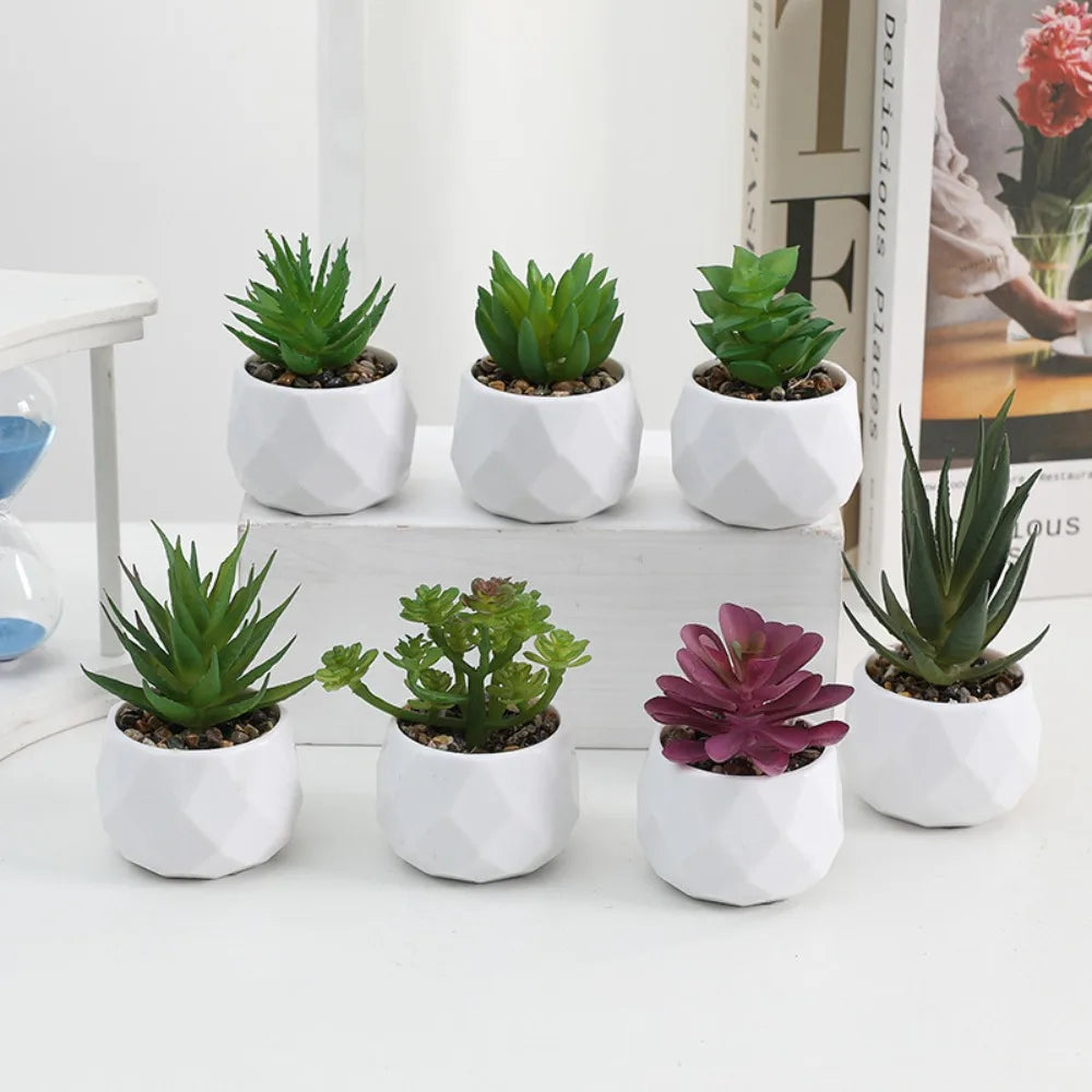 Plantas de bonsai suculentas artificiais simulação suculentas mini evergreen bonsai cacto suculenta plástico plantas falsas decoração