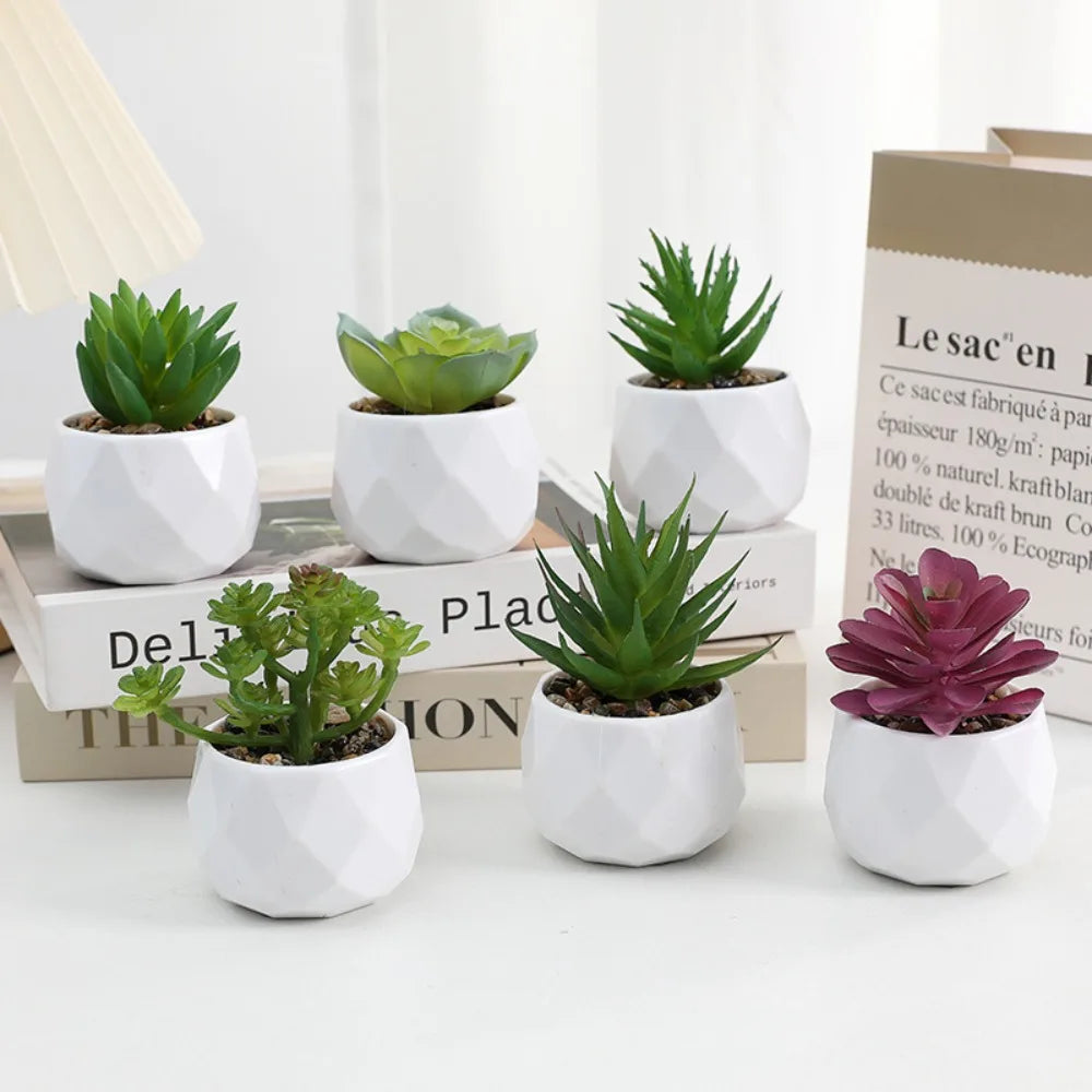 Plantas de bonsai suculentas artificiais simulação suculentas mini evergreen bonsai cacto suculenta plástico plantas falsas decoração